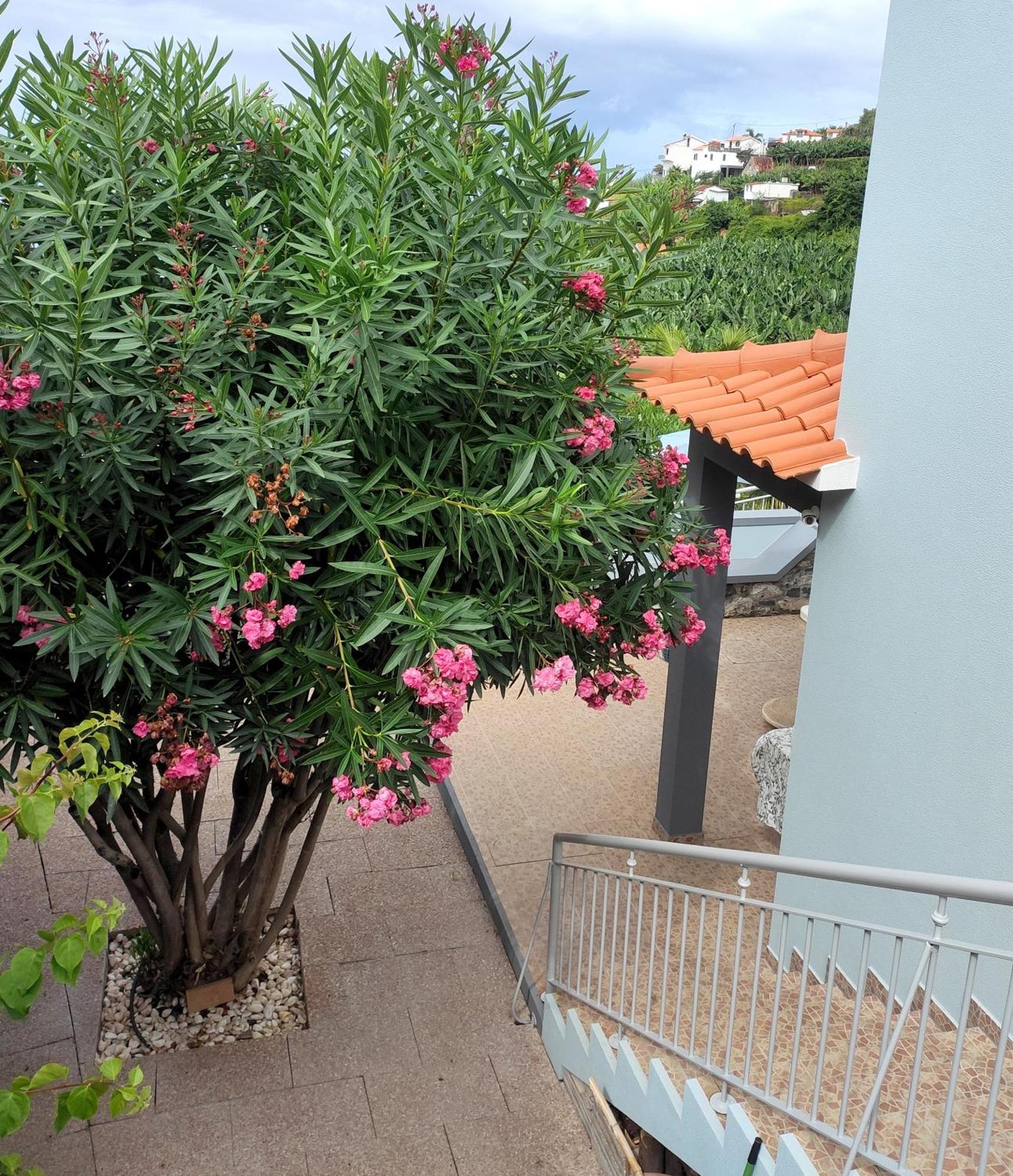 Bluegreen Arco da Calheta  Εξωτερικό φωτογραφία